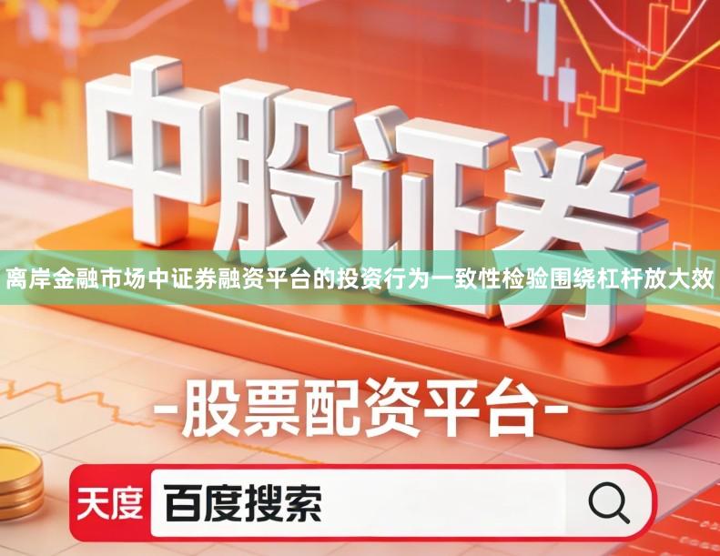 离岸金融市场中证券融资平台的投资行为一致性检验围绕杠杆放大效