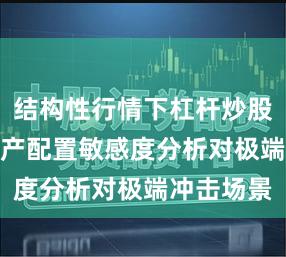 结构性行情下杠杆炒股app的资产配置敏感度分析对极端冲击场景