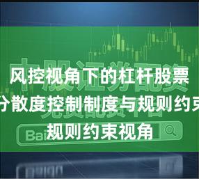 风控视角下的杠杆股票组合分散度控制制度与规则约束视角