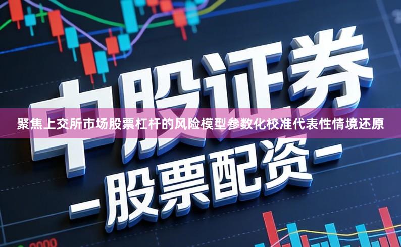 聚焦上交所市场股票杠杆的风险模型参数化校准代表性情境还原