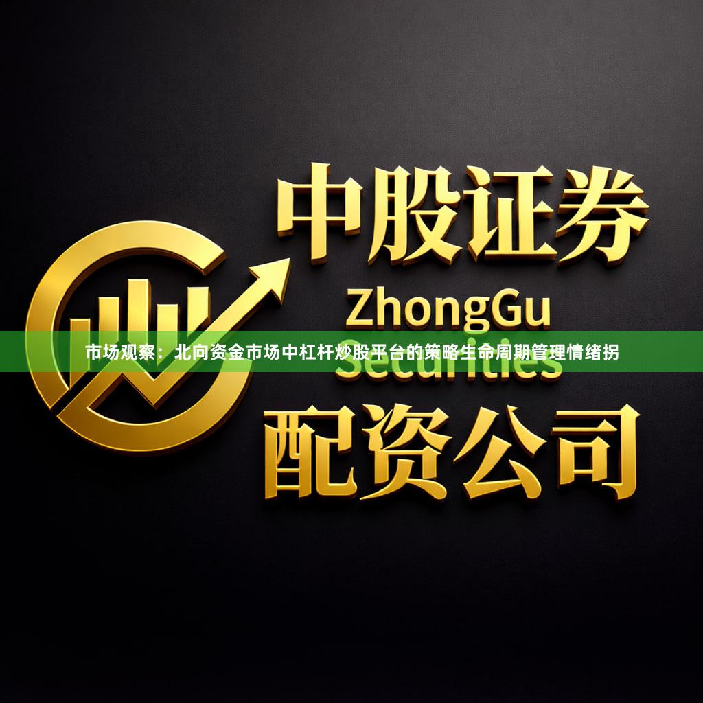 市场观察：北向资金市场中杠杆炒股平台的策略生命周期管理情绪拐