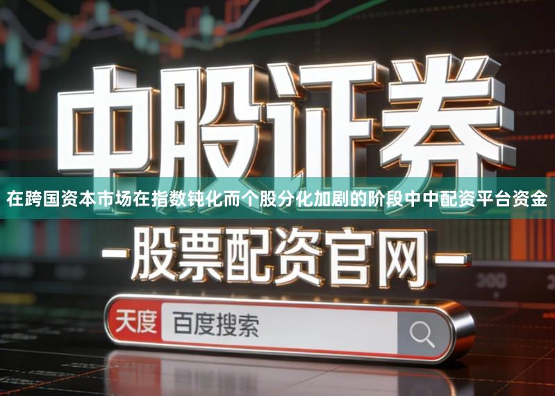 在跨国资本市场在指数钝化而个股分化加剧的阶段中中配资平台资金